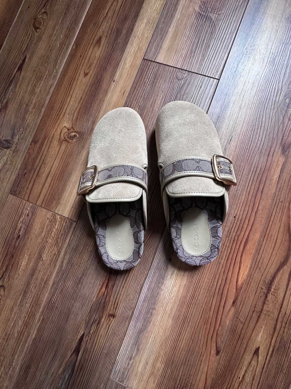 Coach Archival Buckle Clog - Picture 3 of 4